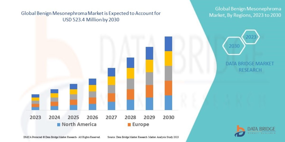 Benign Mesonephroma Market Size, Share, Growth, Trends & Forecast Report, 2025–2032