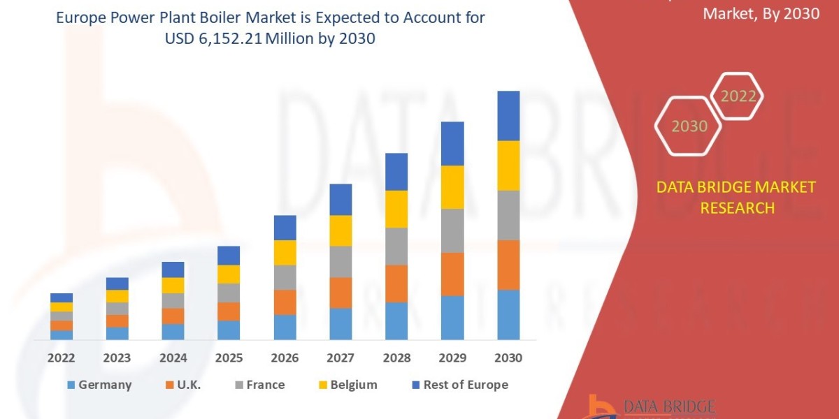 Europe Power Plant Boiler Market Research Report: Size, Share, Trends and Opportunities