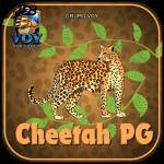 cheetahpg cheetahpg Profile Picture
