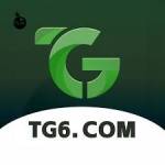 tg6 tg6 Profile Picture