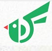 yuefa toys Profile Picture