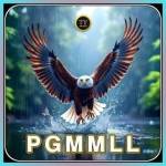 pgmmll pgmmll Profile Picture