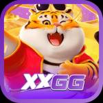 xxgg xxgg Profile Picture