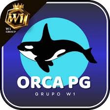 orcapg orcapg Profile Picture