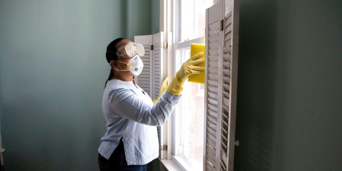 Flea Treatment Carseldine: Professional Solutions for a Flea-Free Home