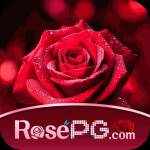 rosepg rosepg Profile Picture