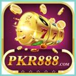 pkr888 pkr888 Profile Picture