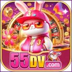 55dv 55dv Profile Picture